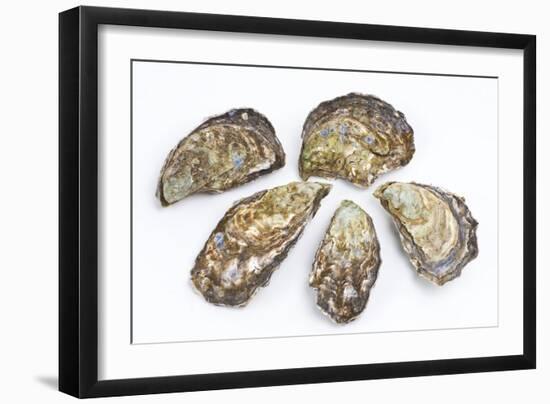 Pacific Oysters-David Nunuk-Framed Photographic Print