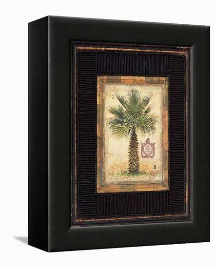 Pacific Palm-Chad Barrett-Framed Stretched Canvas