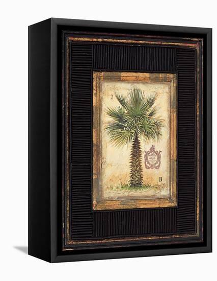 Pacific Palm-Chad Barrett-Framed Stretched Canvas