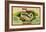 Pacific Salmon-null-Framed Giclee Print