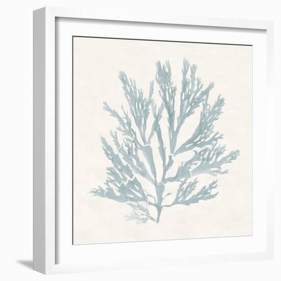 Pacific Sea Mosses I Blue-Wild Apple Portfolio-Framed Art Print