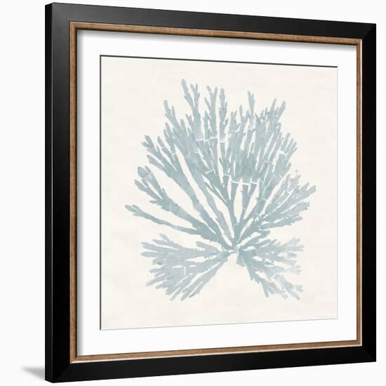 Pacific Sea Mosses II Blue-Wild Apple Portfolio-Framed Art Print