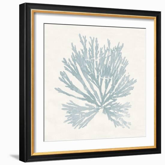 Pacific Sea Mosses II Blue-Wild Apple Portfolio-Framed Art Print