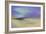 Pacific Sky-Sheila Finch-Framed Art Print