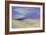 Pacific Sky-Sheila Finch-Framed Art Print