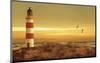 Pacific Sunset 5-Carlos Casamayor-Mounted Art Print