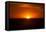 Pacific Sunset-John Gusky-Framed Premier Image Canvas