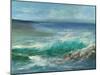 Pacifica Beach II-Sheila Finch-Mounted Art Print