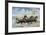 Pacing for a Grand Purse-Currier & Ives-Framed Giclee Print