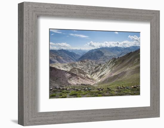 Pack Horses in the Ladakh Region, Himalayas, India, Asia-Alex Treadway-Framed Photographic Print