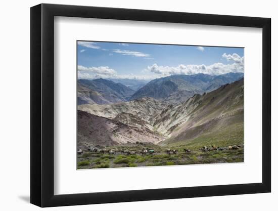 Pack Horses in the Ladakh Region, Himalayas, India, Asia-Alex Treadway-Framed Photographic Print