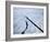 Pack Ice, Weddell Sea, Antarctic Peninsula, Antarctica, Polar Regions-Thorsten Milse-Framed Photographic Print