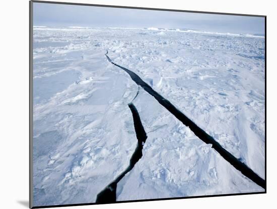 Pack Ice, Weddell Sea, Antarctic Peninsula, Antarctica, Polar Regions-Thorsten Milse-Mounted Photographic Print