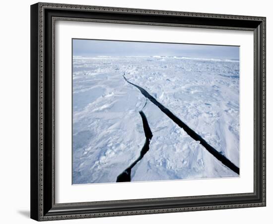 Pack Ice, Weddell Sea, Antarctic Peninsula, Antarctica, Polar Regions-Thorsten Milse-Framed Photographic Print