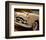 Packard in the Caribbean-Richard James-Framed Premium Giclee Print