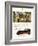 Packard, Magazine Advertisement, USA, 1930-null-Framed Giclee Print