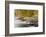 Packers Falls on the Lamprey River in Durham, New Hampshire. Fall-Jerry & Marcy Monkman-Framed Photographic Print