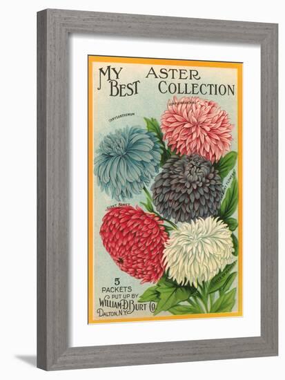 Packet of Aster Seeds-null-Framed Art Print