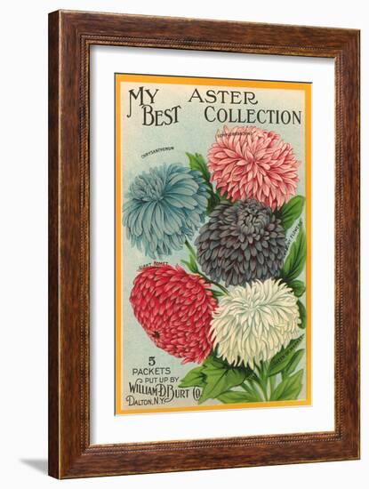 Packet of Aster Seeds-null-Framed Art Print