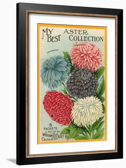 Packet of Aster Seeds-null-Framed Art Print