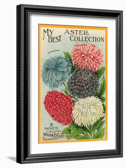 Packet of Aster Seeds-null-Framed Art Print