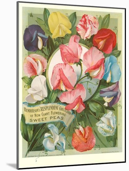 Packet of Sweet Pea Seeds-null-Mounted Art Print