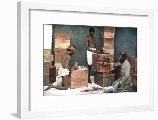 Packing and Weighing Tea for Export on a Ceylon (Sri Lank) Estate, 1905-null-Framed Giclee Print