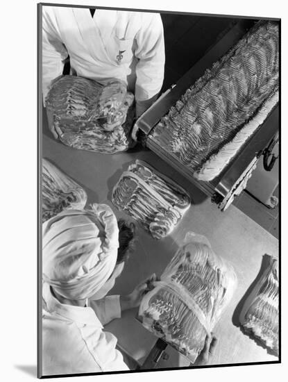 Packing Bacon Rashers, Danish Bacon Company, Selby, North Yorkshire, 1964-Michael Walters-Mounted Photographic Print