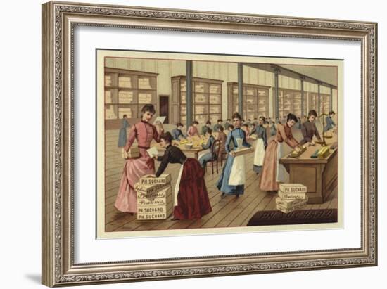 Packing Chocolates in a Factory-null-Framed Giclee Print