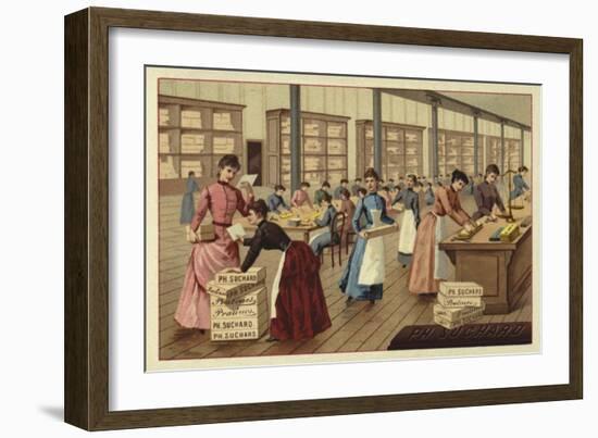 Packing Chocolates in a Factory-null-Framed Giclee Print