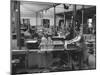 Packing Room in the Swedish Match Company Factory-Carl Mydans-Mounted Photographic Print
