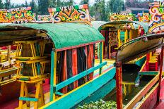 Xochimilco, Mexico City-Paco Forriol-Framed Photographic Print