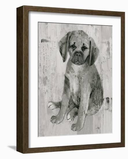 Paco in Grey Tones-Albena Hristova-Framed Art Print