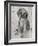 Paco in Grey Tones-Albena Hristova-Framed Art Print