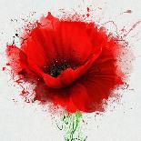 Beautiful Red Poppy, Closeup on a White Background, with Elements of the Sketch and Spray Paint, As-Pacrovka-Art Print