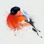 Pyrrhula. A Vivid Illustration of Bullfinch, close Up, with Elements of the Sketch and Spray Paint,-Pacrovka-Art Print