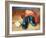 Paddington Bear 2017-Tilly Willis-Framed Giclee Print