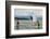 Paddle boarders and Humpback Whale (Megaptera novaeangliae) in the Pacific Ocean, Nuqui, Colombia-null-Framed Photographic Print