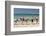 Paddleboarders on the beach, Surfers Paradise, City of Gold Coast, Queensland, Australia-Panoramic Images-Framed Photographic Print