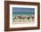 Paddleboarders on the beach, Surfers Paradise, City of Gold Coast, Queensland, Australia-Panoramic Images-Framed Photographic Print