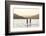 Paddleboarding on Whitefish Lake at Sunset in Whitefish, Montana, USA-Chuck Haney-Framed Photographic Print