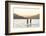 Paddleboarding on Whitefish Lake at Sunset in Whitefish, Montana, USA-Chuck Haney-Framed Photographic Print