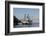 Paddlewheel Boat and Casino, Mississippi River, Port Area, Natchez, Mississippi, USA-Cindy Miller Hopkins-Framed Photographic Print
