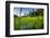 Padi Field in Lake Toba, Sumatra, Indonesia, Southeast Asia-John Alexander-Framed Photographic Print