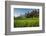 Padi Field in Lake Toba, Sumatra, Indonesia, Southeast Asia-John Alexander-Framed Photographic Print