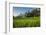 Padi Field in Lake Toba, Sumatra, Indonesia, Southeast Asia-John Alexander-Framed Photographic Print