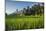 Padi Field in Lake Toba, Sumatra, Indonesia, Southeast Asia-John Alexander-Mounted Photographic Print