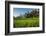 Padi Field in Lake Toba, Sumatra, Indonesia, Southeast Asia-John Alexander-Framed Photographic Print