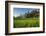 Padi Field in Lake Toba, Sumatra, Indonesia, Southeast Asia-John Alexander-Framed Photographic Print