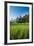 Padi Field in Lake Toba, Sumatra, Indonesia, Southeast Asia-John Alexander-Framed Photographic Print